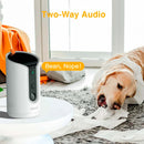 Arenti-Petcam1T-lemmikkikamera-2K-3MP-UHD-2