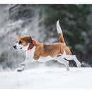 Analyzing image      MiniFinder-Rex-4G-koiratutka-metsastyskoiralle-4