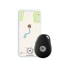 MiniFinder-pico-4g-paikannin