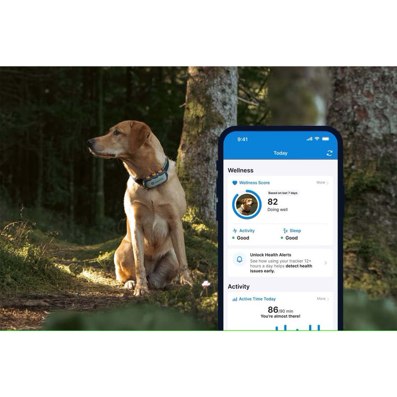 Tractive-DOG-XL-Adventure-GPS-paikannin-1