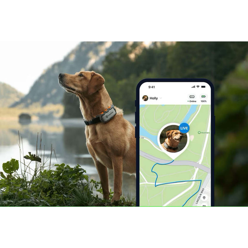 Tractive-DOG-XL-Adventure-GPS-paikannin-2