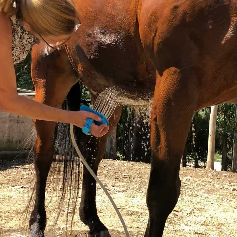 Aquapaw Equine Grooming Tool