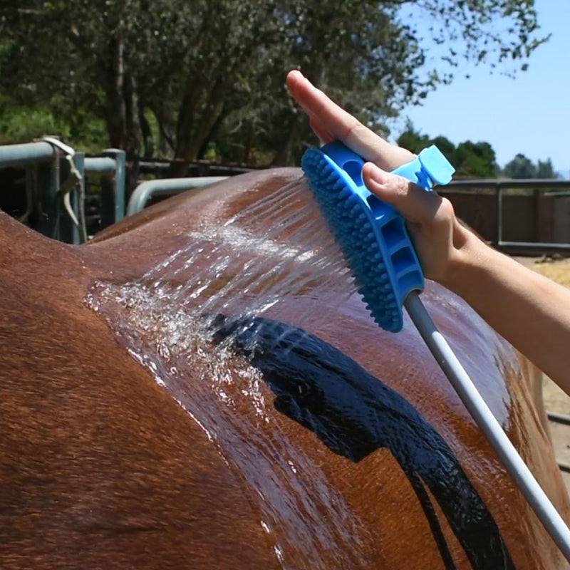 Aquapaw Equine Grooming Tool