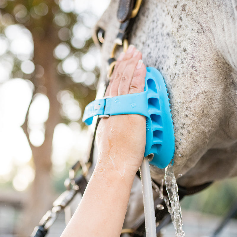 Aquapaw Equine Grooming Tool