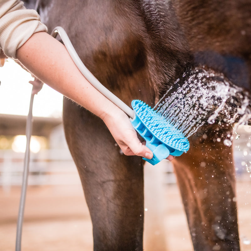 Aquapaw Equine Grooming Tool