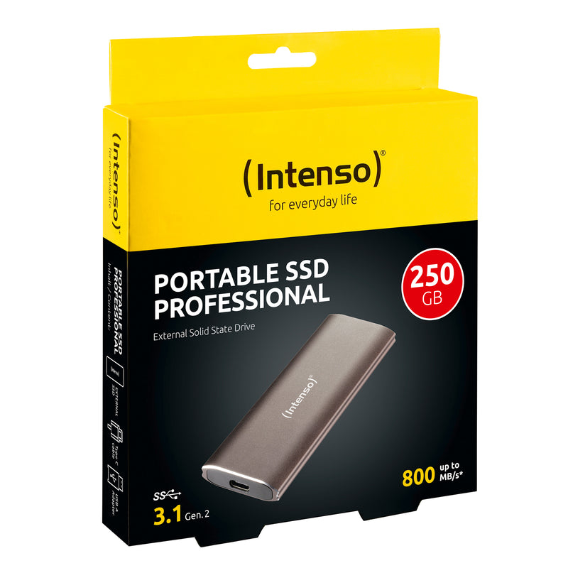 Intenso Professional ulkoinen SSD-kovalevy 250GB