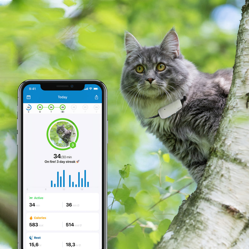 Tractive kissan GPS-paikannin + kaulapanta ja vara-akku
